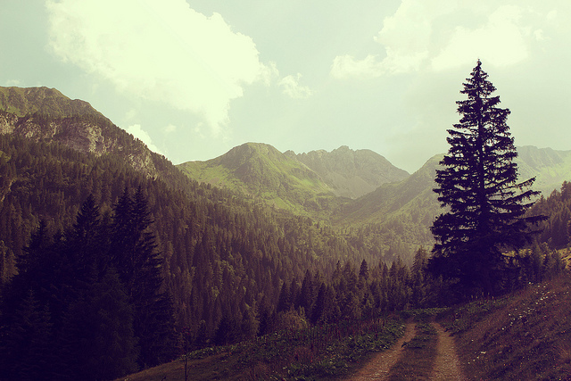 Tips and strategies to help save money, energy and the environment